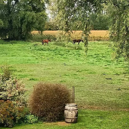 Konukevi Relais De 3*