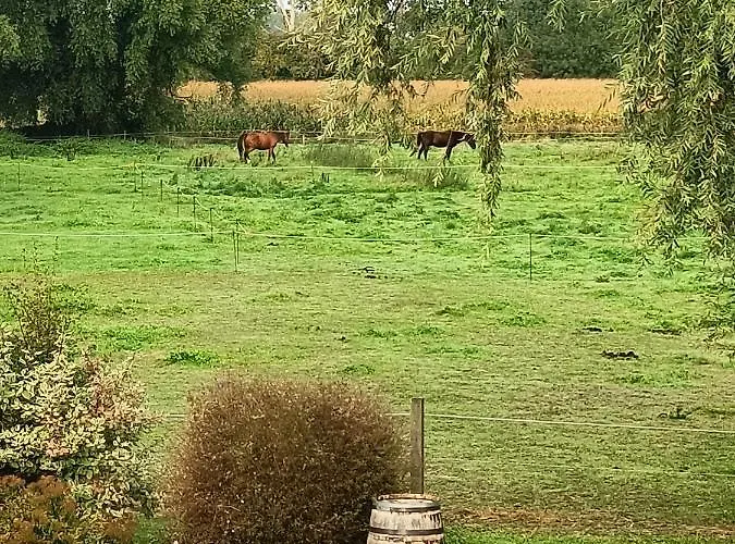 Maison d'hôtes Relais De 3*